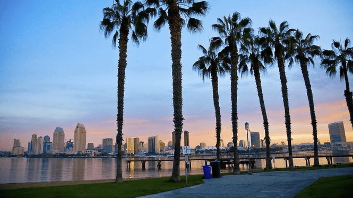 Screen-Shot-2021-05-25-at-8.34.44-PM